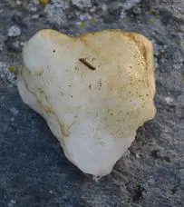 Stone resembling a heart on pavement