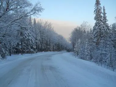Frost-covered trees along a quiet road