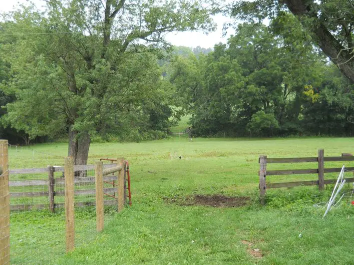 Open gate to lush meadow