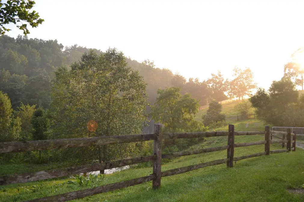 Wooden fence in morning light