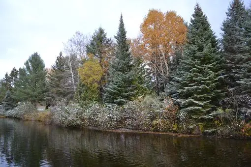Scenic lakeside view with autumn colors