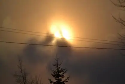Bright sun with silhouetted tree