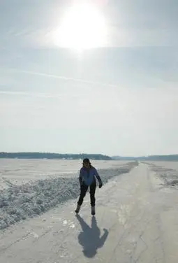Winter skating on frozen landscape