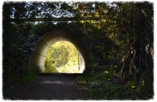 Sunlit path through a dark tunnel