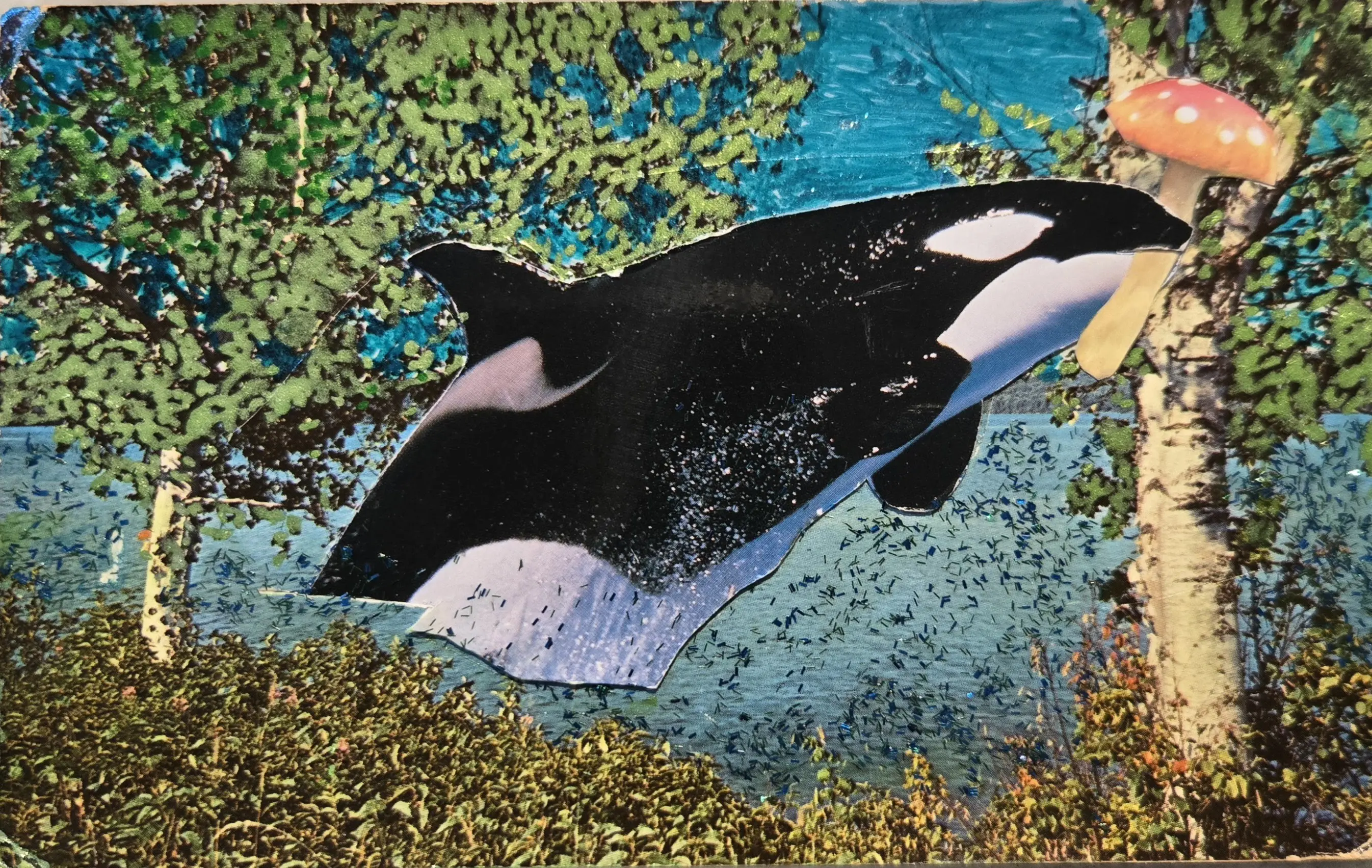 An orca swims underwater near coral reefs.